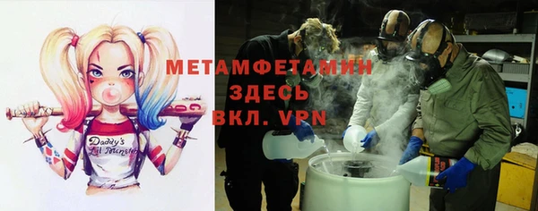 прущие грибы Вязники