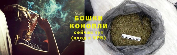 прущие грибы Вязники