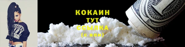 гидропоника Горнозаводск