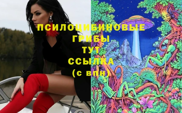 каннабис Волоколамск