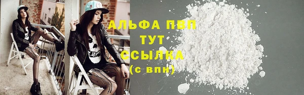хмурый Гусев