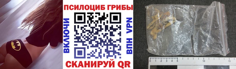 Псилоцибиновые грибы MAGIC MUSHROOMS  Купить закладки  Уржум 